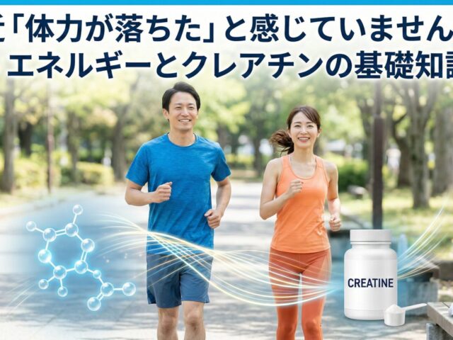 最近「体力が落ちた」と感じていませんか？｜エネルギーとクレアチンの基礎知識